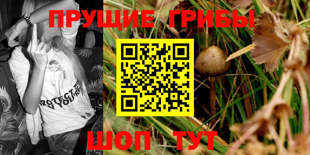 Галлюциногенные грибы мицелий Сланцы