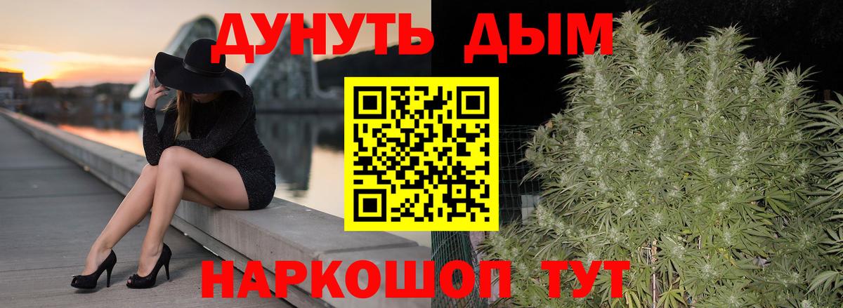 Бошки Шишки сатива Сланцы